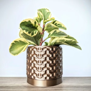 Bronze Chocolate Gold Planter, Geometric Plant Pot with Drain Tray, Mix and Match Tray and Pot Color, Plastic