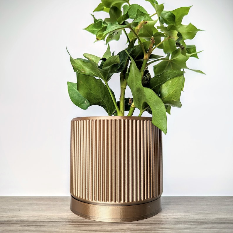Bronze Chocolate Gold Pot, Fin Planter With Drainage Etsy