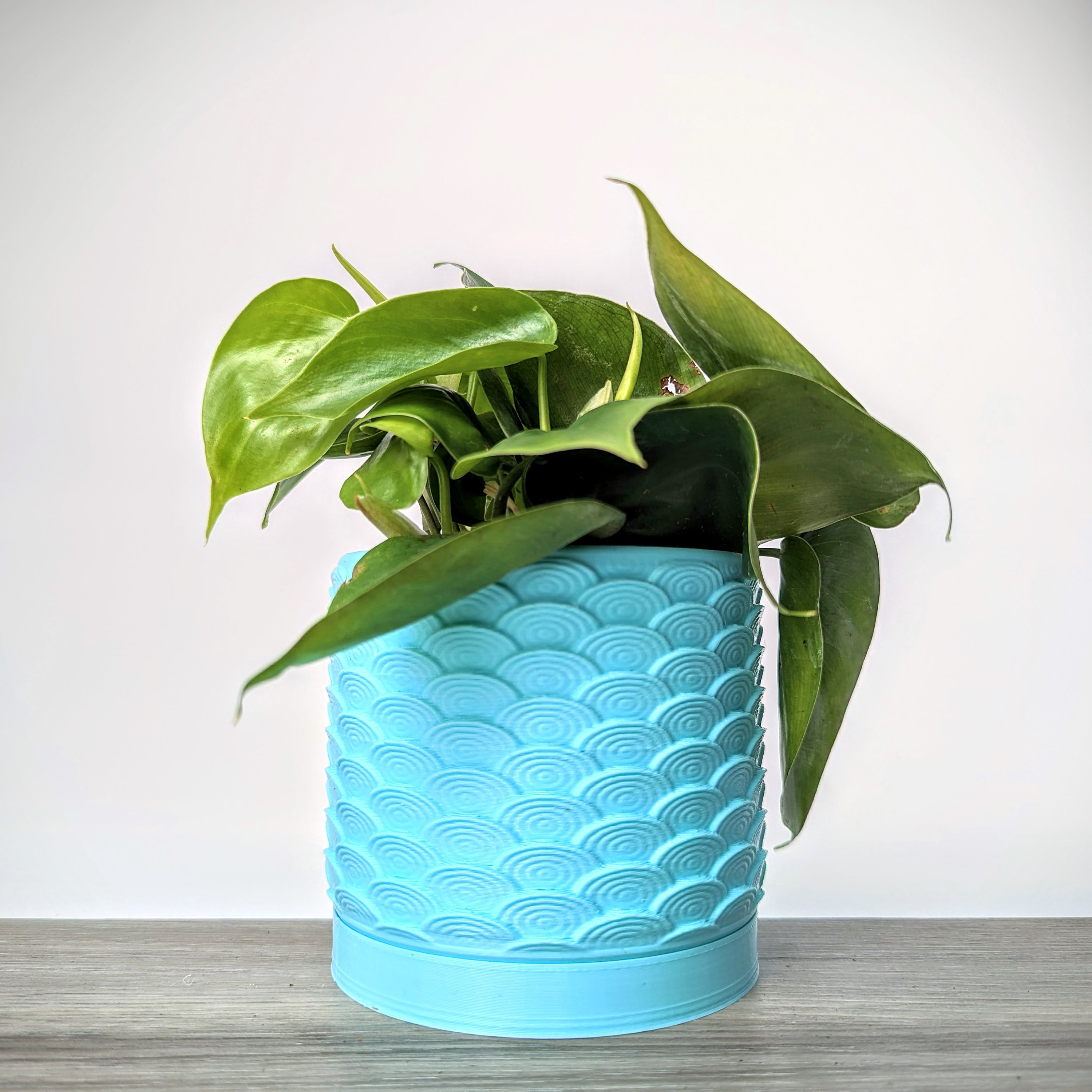 Light Blue Mint Pot Clouds Pattern Planter With Drainage Tray Etsy