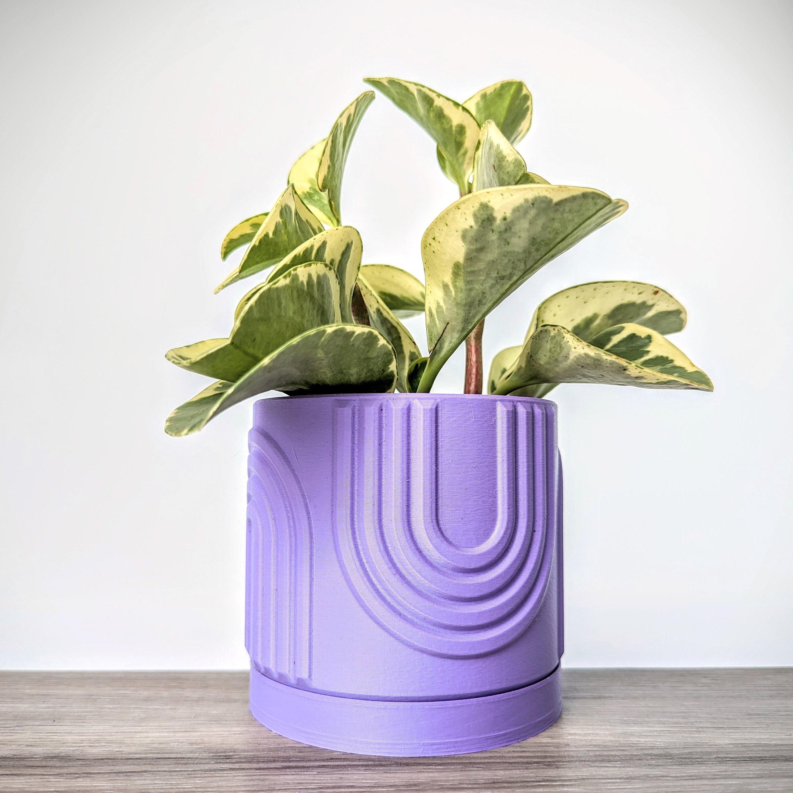 self watering pots for plants Mayne Caprio 14-Inch Self-Watering Hanging Planter with Water Level Indicator (2-Pack) White