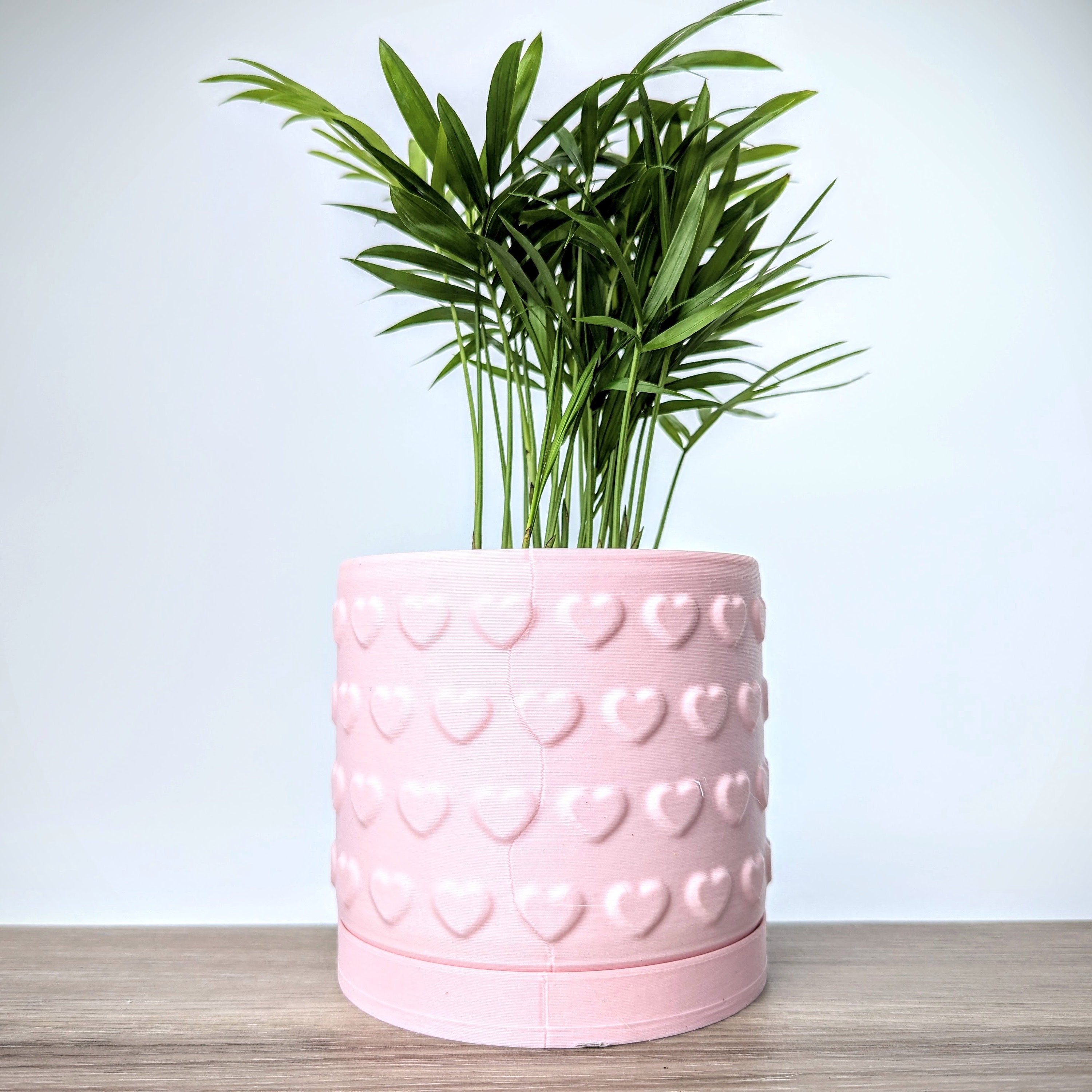 plant pot liner Ceramic Plant Pot with Rubber Liner main image 0
