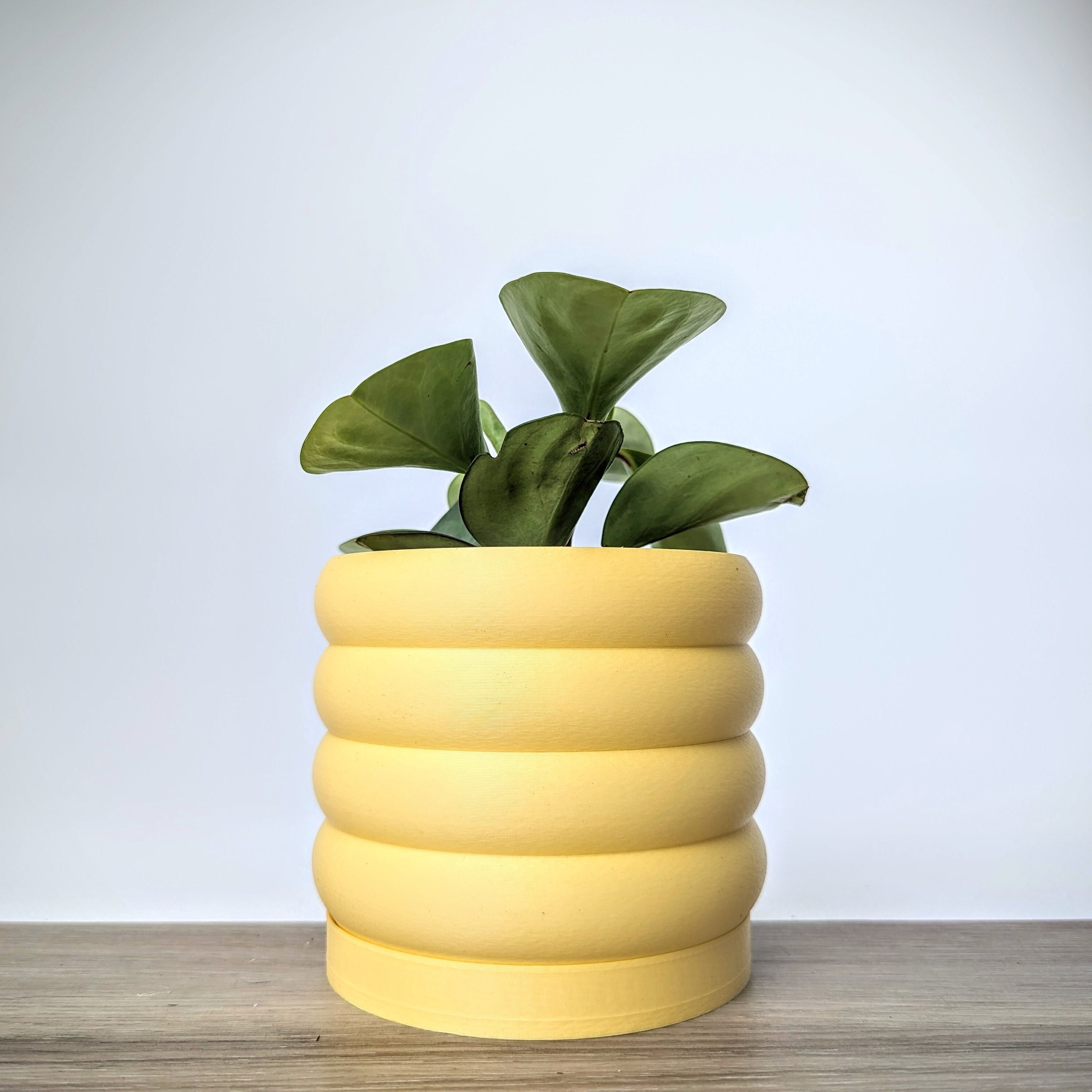 Light Pastel Yellow Planter, Bubble Plant Pot with Drain Tray, Made from an Eco-Friendly Plant Based Plastic