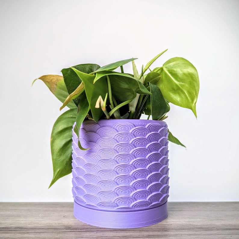 Purple garden and outdoor - Lavender purple pot