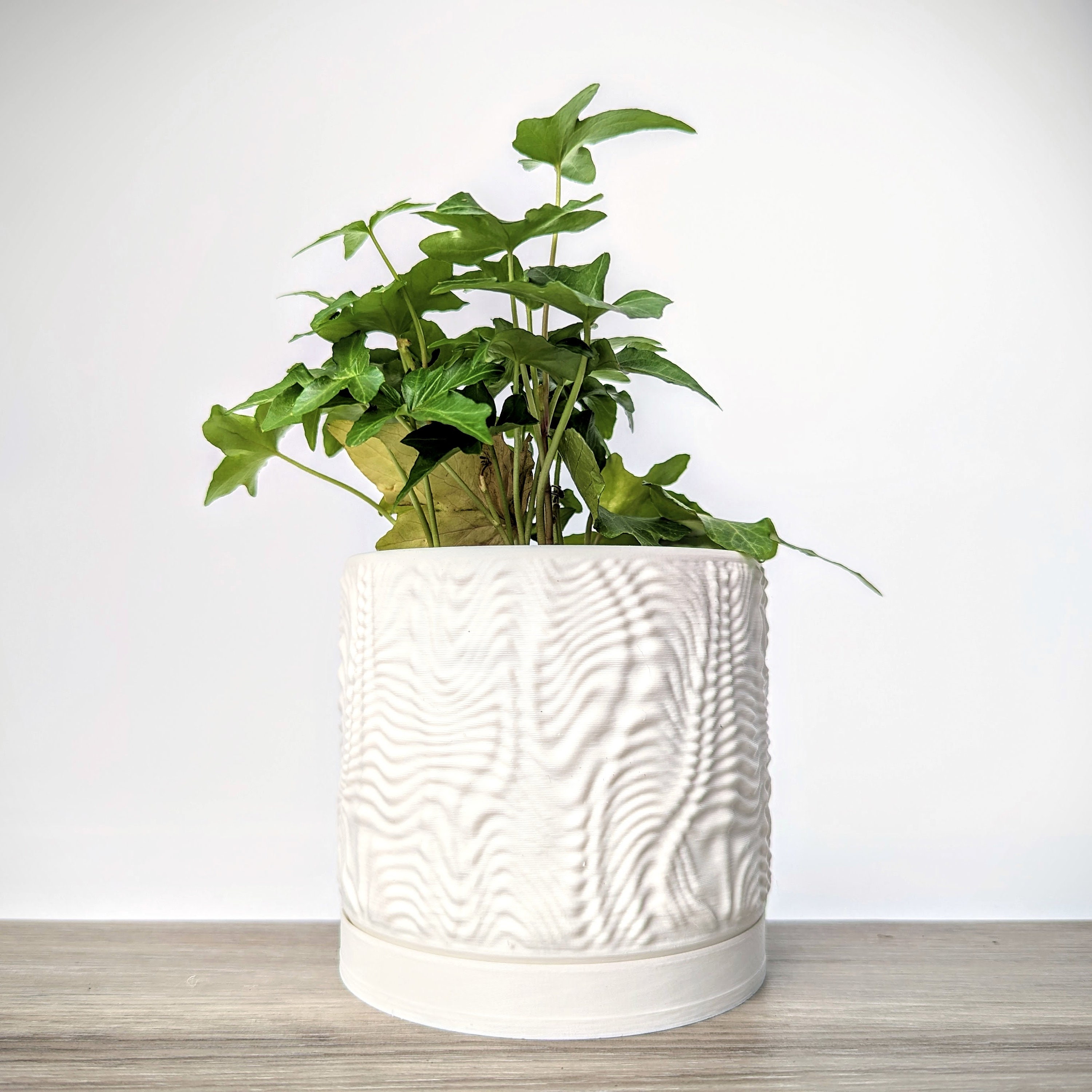 Vaso Per Piante In Ceramica Bianca Opaca – Con Foro Di Drenaggio E Sottovaso (Medio/Piccolo) - 2