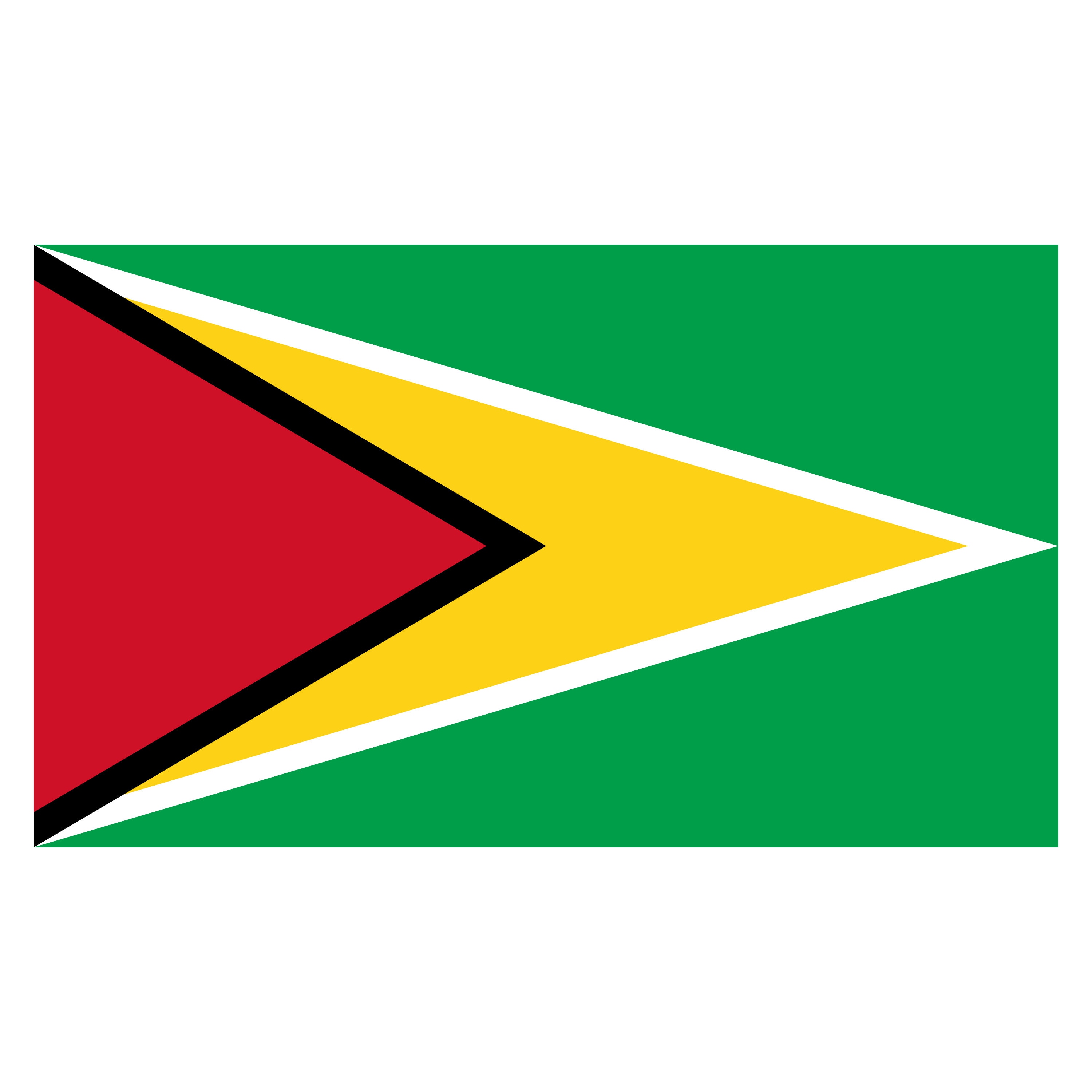 Guyana Flag SVG Png Dxfepsbundleflags Svglove Flags Etsy