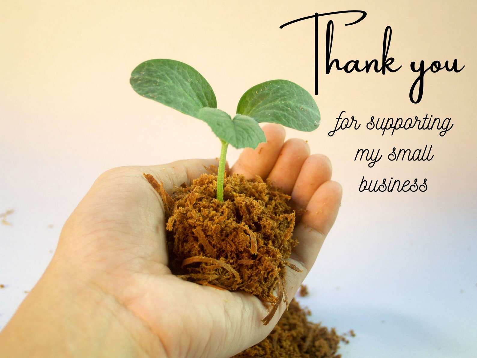 Mother's Day Double Puzzles for Kids, 3 Pgs, Word Scramble Combined ...