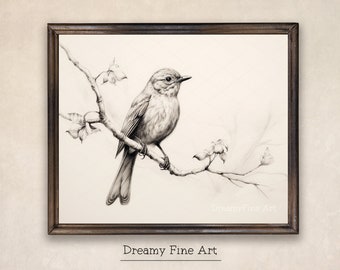 Bird Sketch Art Print, Antique Wall Decor, Wildlife Sketch, Draw