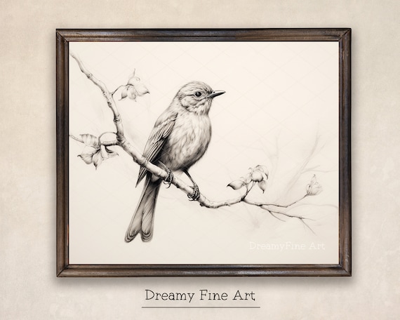 Bird Sketch Art Print, Antique Wall Decor, Wildlife Sketch, Draw