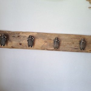 Könnte beinhalten: Ein rustikaler Wandhaken aus Holz mit vier Zikaden-förmigen Haken. Die Haken sind aus Metall und haben eine dunkelbraune Oberfläche.