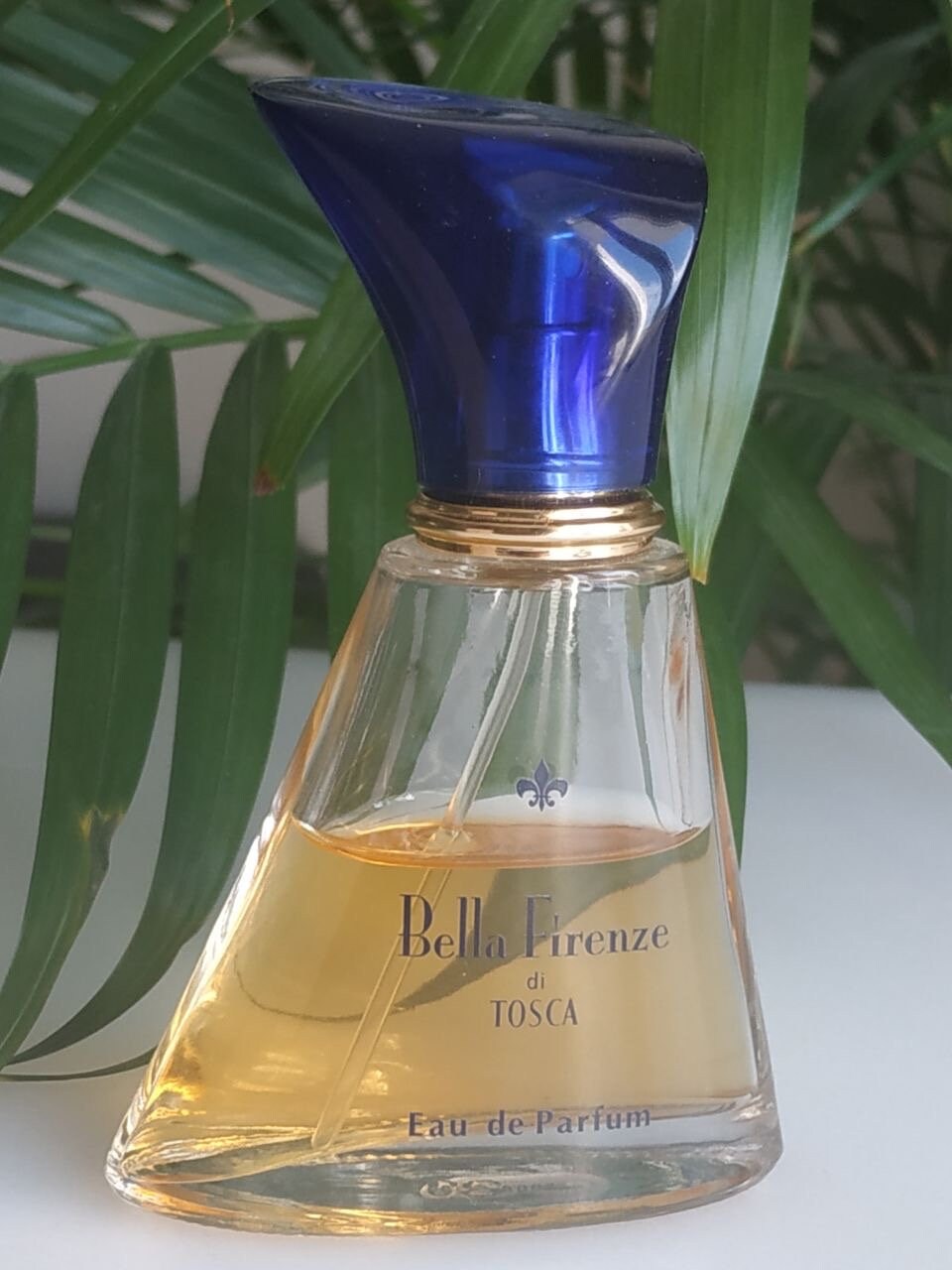 Tosca florence perfume sale