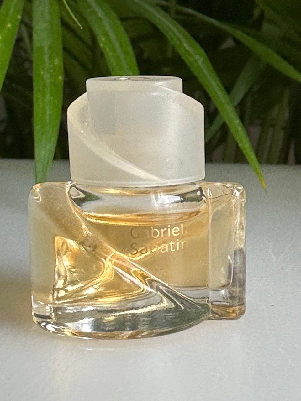 Buy Gabriela Sabatini Parfum Online In India Etsy India