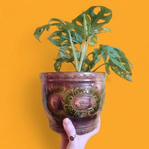 Maceta/plantadora Scheurich Keramik de Alemania Occidental de la década de 1970 de 6" x 7,5". ¡Pequeña belleza!