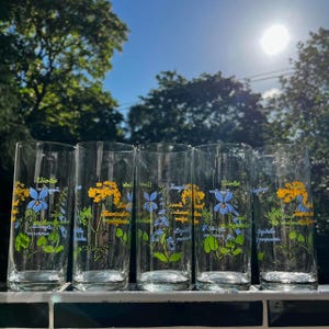 Vintage Glas Gläser Set Blumen