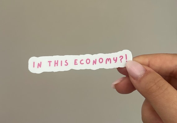 in this economy sticker, inflation, finance sticker, cute, adorable, funny meme, waterproof, weatherproof