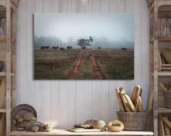 Country Cows on a Foggy Morning Farm, Cow Canvas Print Wall Decor, Cow Wall Art, Farm Animals, Cow Wall Decor, Farmhouse Decor, Cow Decor