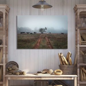 Land koeien op een mistige ochtend boerderij, koe canvas print muur decor, kunst aan de muur koe, boerderijdieren, koe muur decor, decor van de boerderij, koe decor