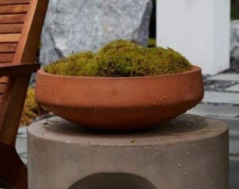 Terracotta Concrete Bowl, Flower Pot, Terracotta Concrete Planter, Indoor or Outdoor Planter, Newport Low Bowl, Floral Decor