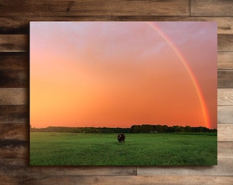 Cow in Green Grass under a Fiery Sky and Rainbow, Cow Canvas Print Wall Decor, Cow Wall Art, Cow Wall Decor, Farmhouse Decor, Cow Decor