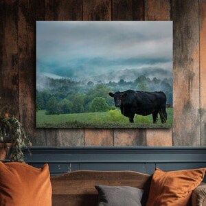 Curious Black Cow with Misty Mountains, Cow Canvas Print Wall Decor, Cow Wall Art, Country Cows, Cow Wall Decor, Farmhouse Decor, Cow Decor