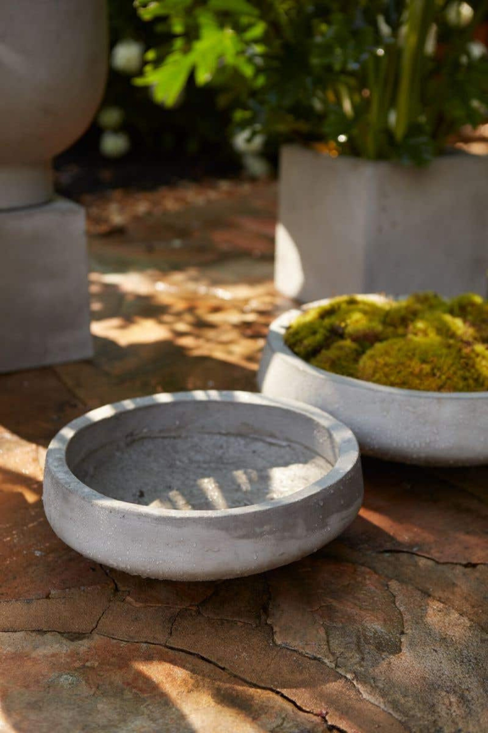 Grey Concrete Bowl, Flower Pot, Grey Concrete Planter, Indoor/outdoor ...