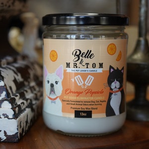 Orange Popsicle: Pet Odor Eliminator Candle (13oz), Soy Blend Scented Candle, Strong Citrus Scent, Pet Lovers Candle, Handcrafted Candle
