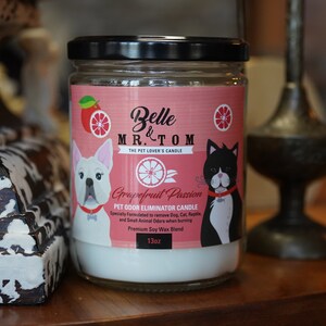 Grapefruit Passion: Pet Odor Eliminator Candle, Soy Blend Scented Candle, Tangy Grapefruit Scent, Pet Lovers Candle, Handcrafted Candle