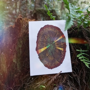 Tree Energy | Energy Blueprint Journal
