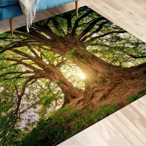 Puede incluir: Una vista cercana de un gran árbol verde con ramas y raíces gruesas. El árbol se encuentra en un entorno boscoso con la luz del sol brillando a través de las hojas. La imagen se toma desde un ángulo bajo, mirando hacia arriba al árbol.
