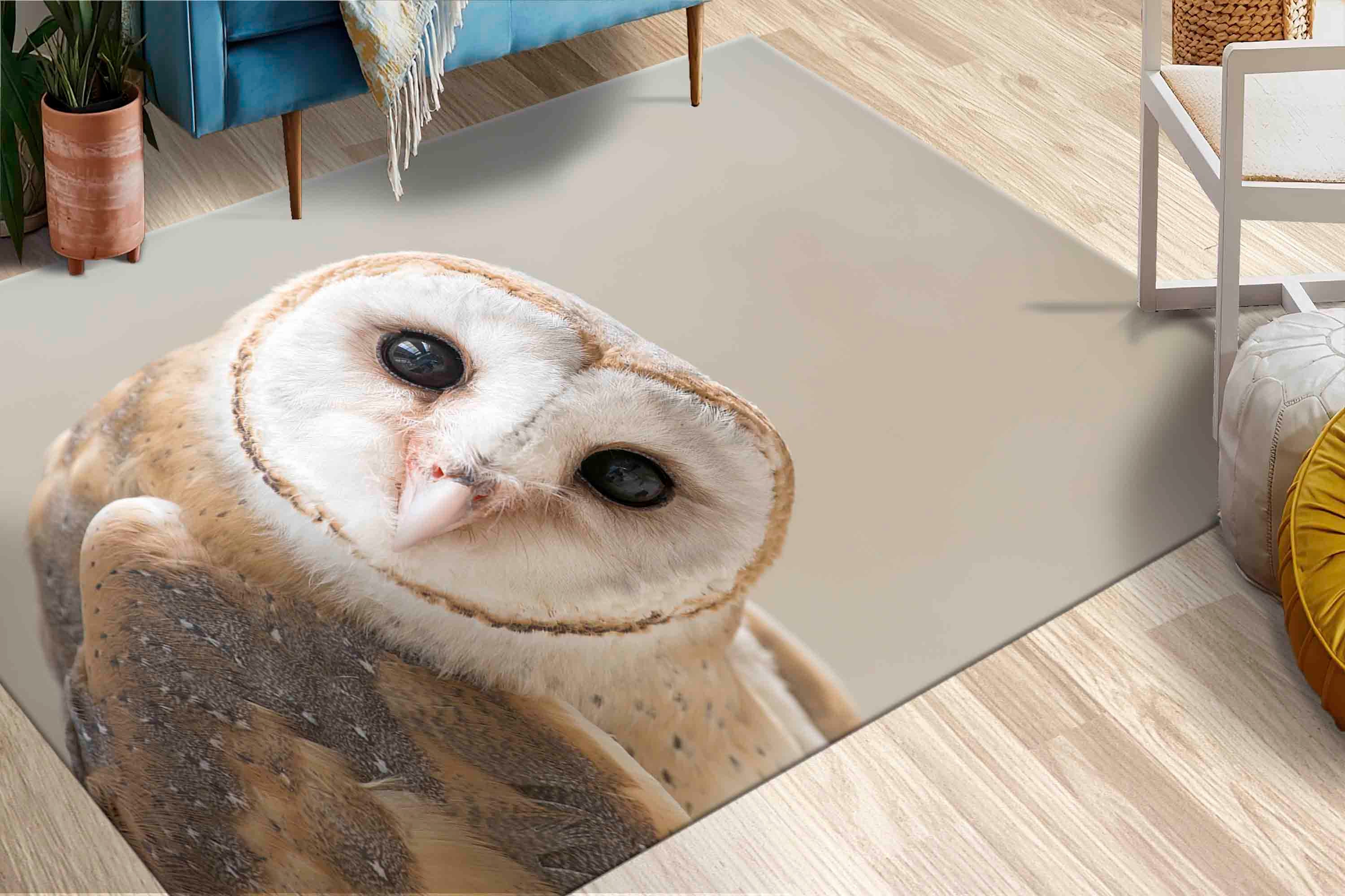 Bath Rugs, Customs Rug, Owl Lover Gift Rugs, Office Decor Rugs, Owl Rug, Saloon Rug, Animal Rug, Con