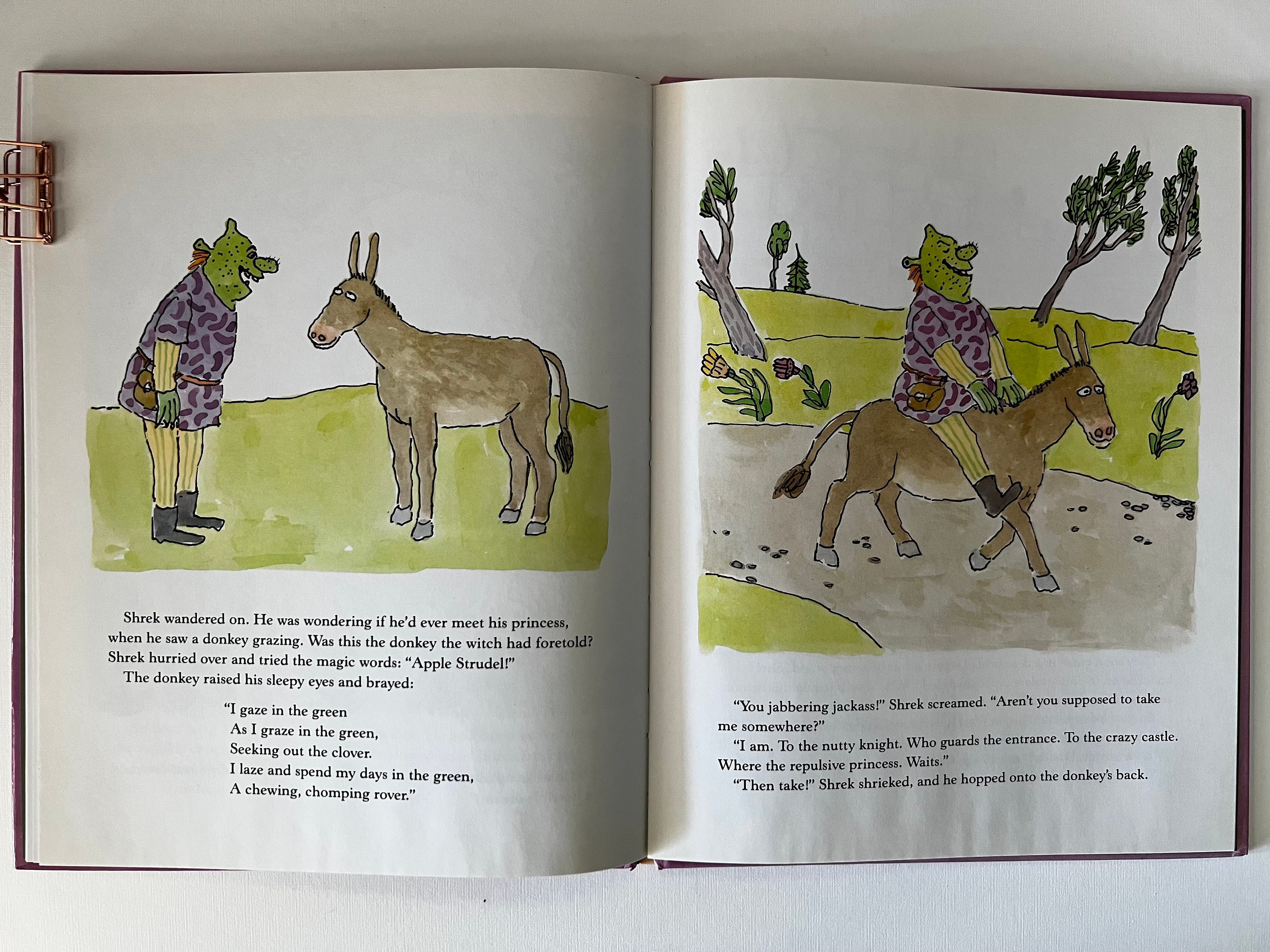 Shrek by William Steig 1990 Published by Farrar, Straus and Giroux Vintage Hardcover Kids Book