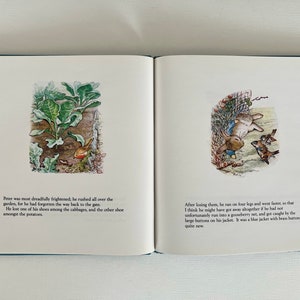 The Tale of Peter Rabbit (1993) - Etsy