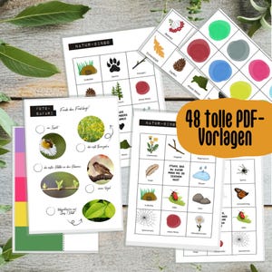NATURE BINGO e Cia. - 48 modelos (PDF) / Bingo da Floresta / Caça ao Tesouro na Floresta / Colecionando Cores / Safari Fotográfico / Modelos do Nature Explorer para crianças