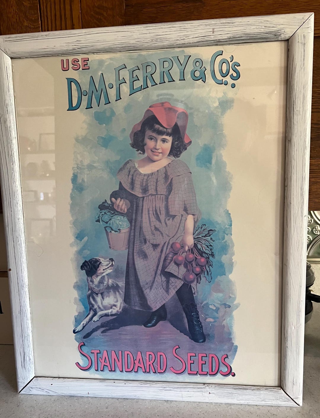 Vintage DM Ferry & Co Standard Seed Print Etsy