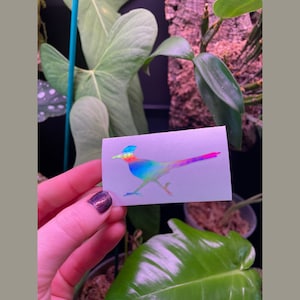 Roadrunner holographic sticker