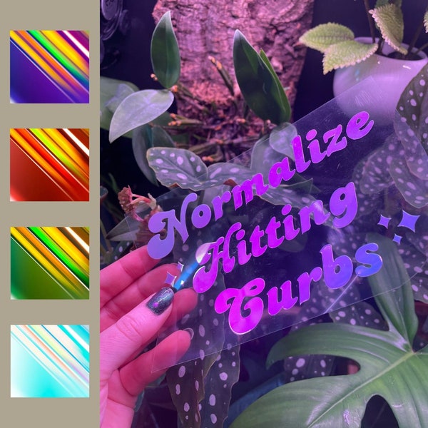 Normalize Hitting Curbs Holographic Sticker