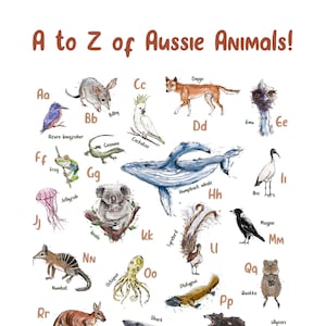 A - Z of Aussie Animals | Australian animal alphabet children&#39;s nursery poster | Digital printable poster