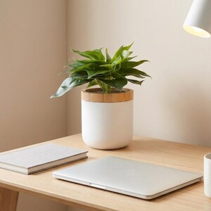 May include: A green leafy plant in a white cylindrical pot with a light wood rim, placed on a wooden desk alongside a closed silver laptop, a gray notebook, a white ceramic mug, and a white desk lamp with a warm light.