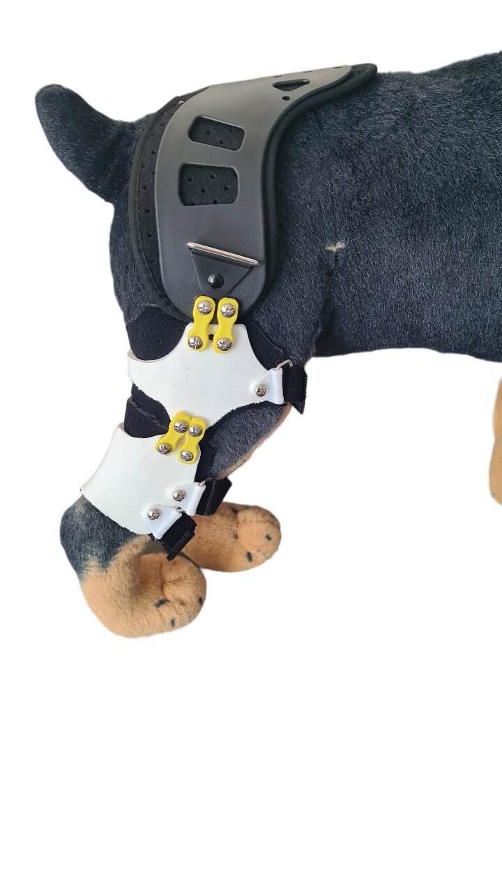 Dog Knee Pads Etsy Canada