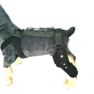 attelle pour chien, support pour chien, attelle pour chien, accessoire pour chien, chien, genouillère pour chien, protecteur de genouillère pour chien, attelle pour chien ACL. Size L