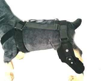 aparato ortopédico para perros, soporte para perros, férula para perros, accesorio para perros, rodillera para perros, protector de rodilleras para perros, aparato ortopédico para perros ACL.