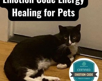 The Emotion Code Pet Energy Healing, Energy Healing, Emotional Baggage Removal, Cat Energy Healing, Dog Energy Healing, Decoding Emotions