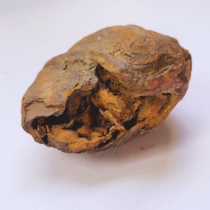 Puede incluir: Una roca erosionada de forma irregular con una superficie rugosa y texturizada. El exterior de la roca es principalmente marrón con áreas de tonos naranja y óxido. El interior revela una estructura porosa y estratificada.