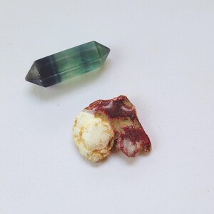 Puede incluir: Un cristal de fluorita verde y morado y un pequeño fósil color crema con marcas rojizas. El cristal tiene forma hexagonal alargada. El fósil tiene forma de espiral.