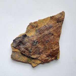 Puede incluir: Una pieza de piedra rugosa, de forma irregular y con aspecto estratificado. La roca presenta una mezcla de tonos terrosos, incluyendo tonos de marrón, beige y negro, con una superficie texturizada. Parece ser un espécimen geológico natural.
