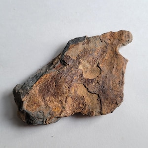 May include: A weathered, irregularly shaped piece of rock with a rough, textured surface. The rock displays a mix of brown, tan, and gray hues, with areas of darker, almost black coloration. The overall appearance suggests a natural, aged stone.