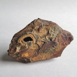 Artefacto de arte rupestre portátil paleolítico de 3,5" de ardilla, oso, toro y dragón, nativo americano antiguo
