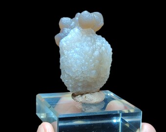 Calcédoine de Sidi Rahal, Maroc - Rare formation botryoïde 56 g Spécimen minéral 5 x 3 x 3 cm