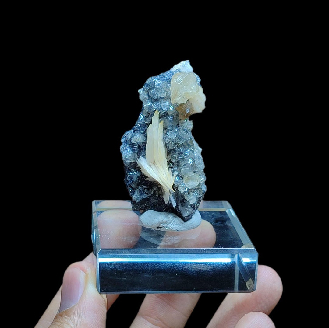 イラン産 セルサイト（白鉛鉱） | 鉱物標本,サ行,セルサイト/白鉛鉱