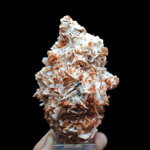Large Vanadinite on Barite from Mibladen, Midelt, Morocco – 429g Mineral Specimen 13x10x5 cm