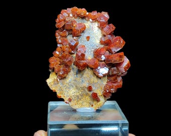Cristales hexagonales de vanadinita - Color rojo sangre, alta calidad, 7 x 5 cm, 74 g, Midelt, Marruecos
